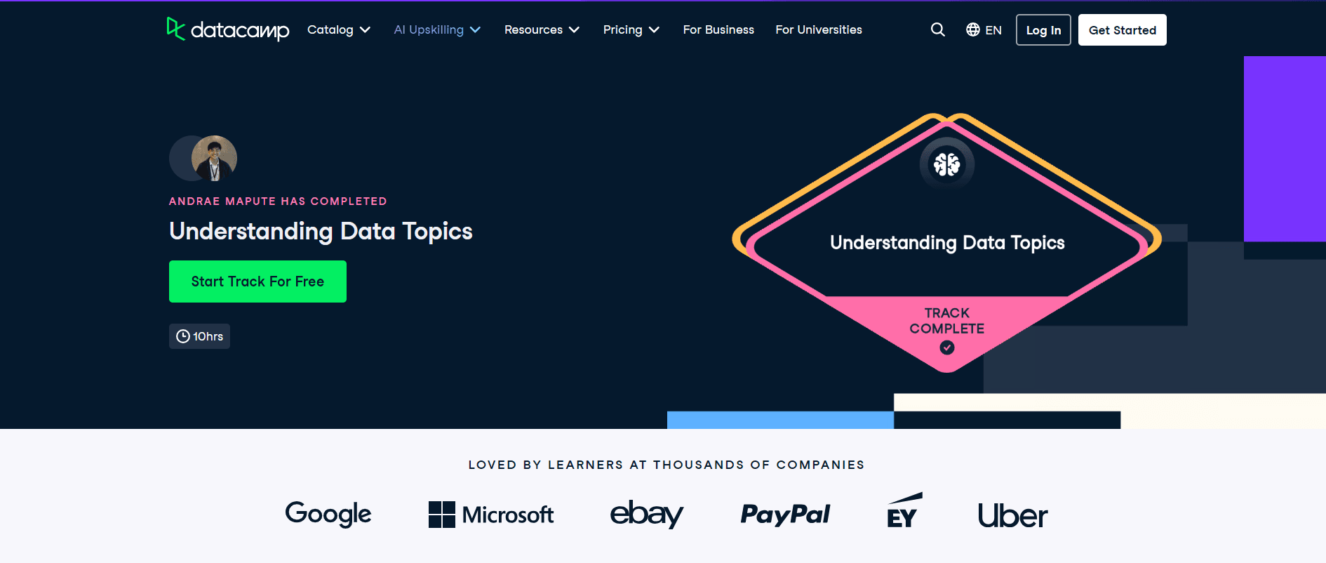 DataCamp: Understanding Data Topics skill track